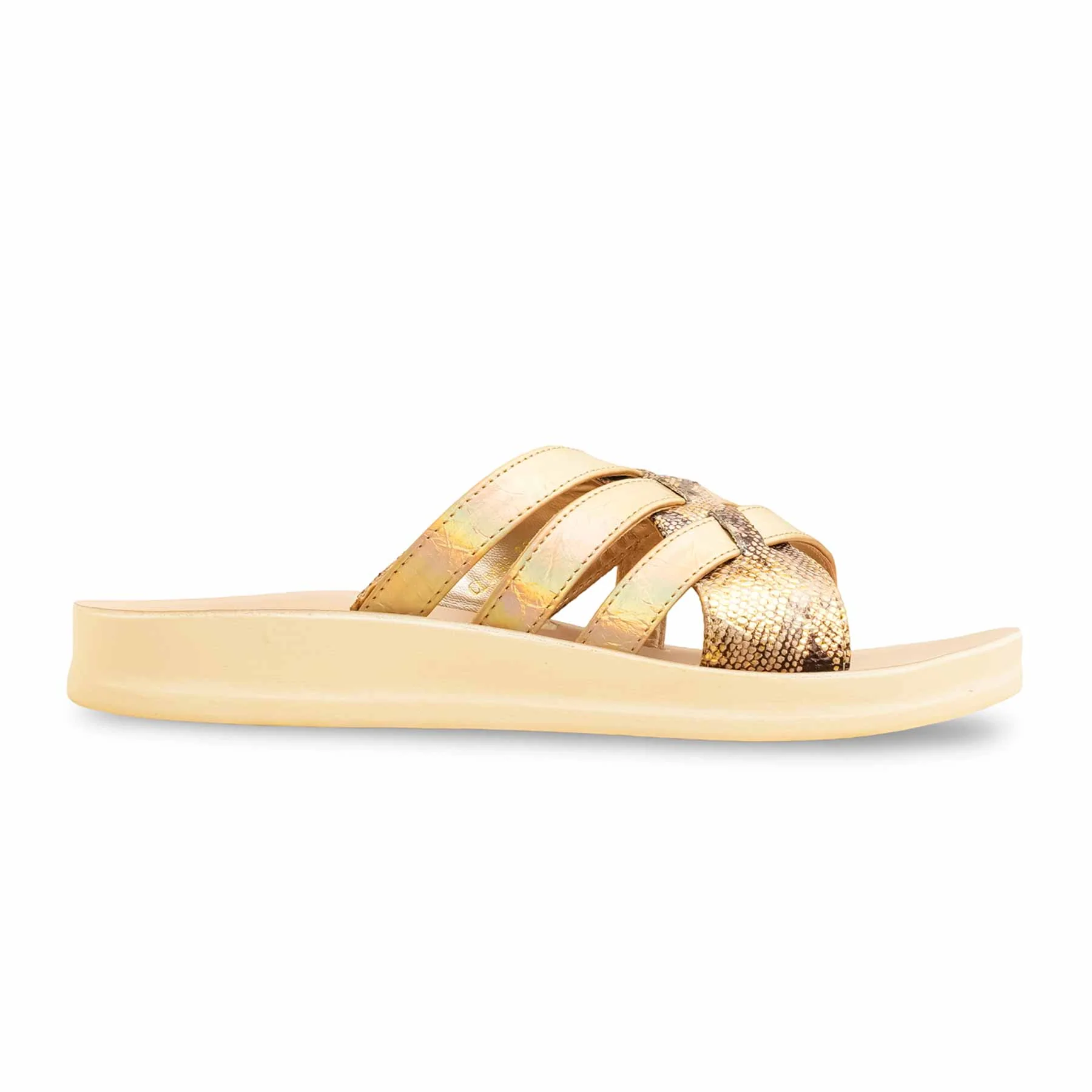 Golden Casual Softy For Women CL5499 - Image 2
