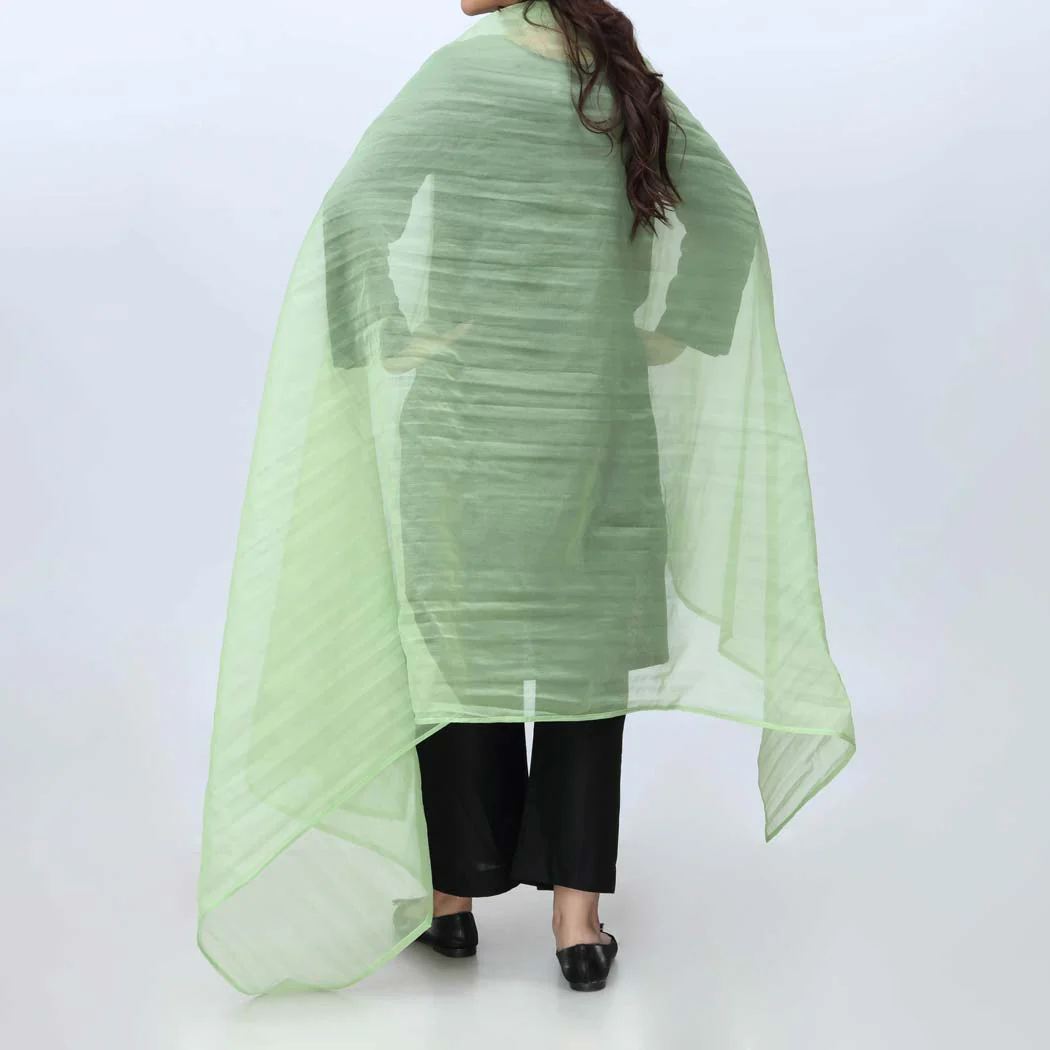 Green Plain Organza Dupatta PS4702 - Image 2